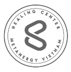 Metanergy logo